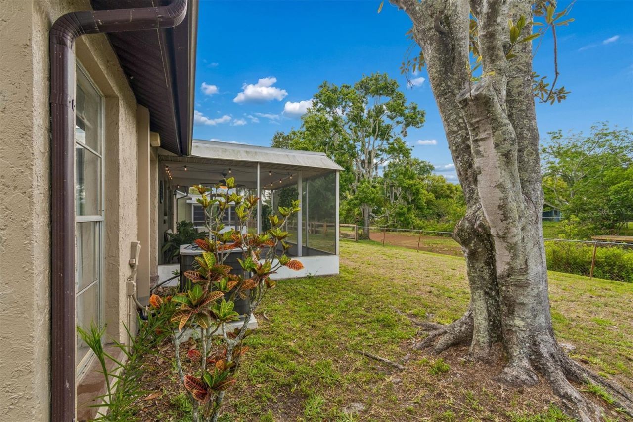 7038 Jenner Avenue, New Port Richey, FL 34655 Photo