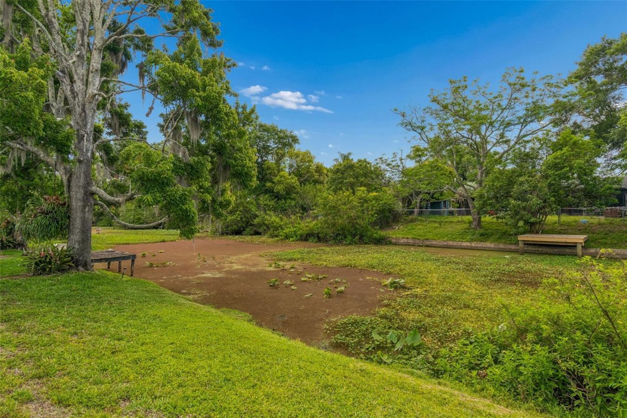 7038 Jenner Avenue, New Port Richey, FL 34655 Photo