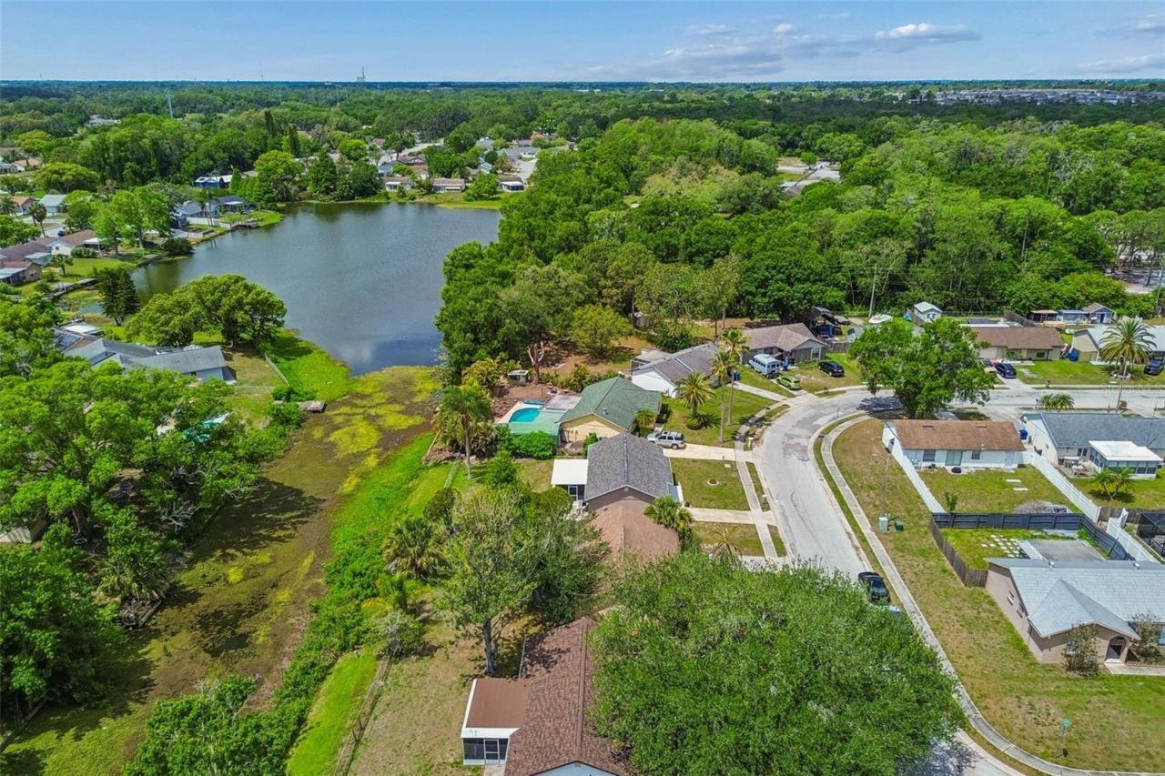 7038 Jenner Avenue, New Port Richey, FL 34655 Photo