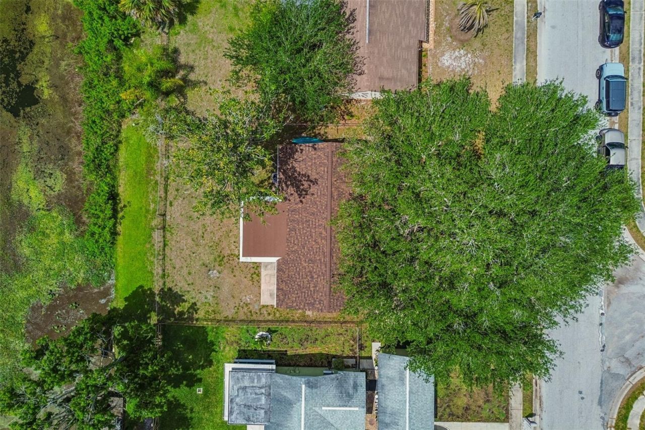 7038 Jenner Avenue, New Port Richey, FL 34655 Photo