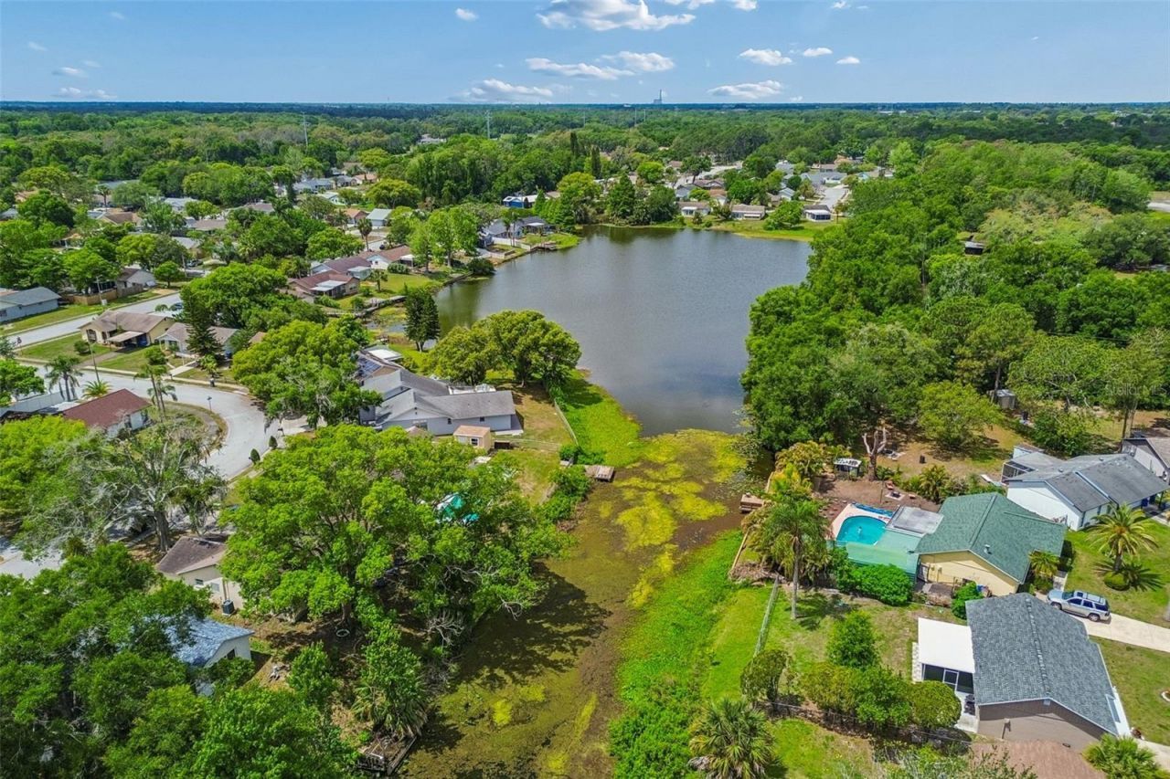 7038 Jenner Avenue, New Port Richey, FL 34655 Photo