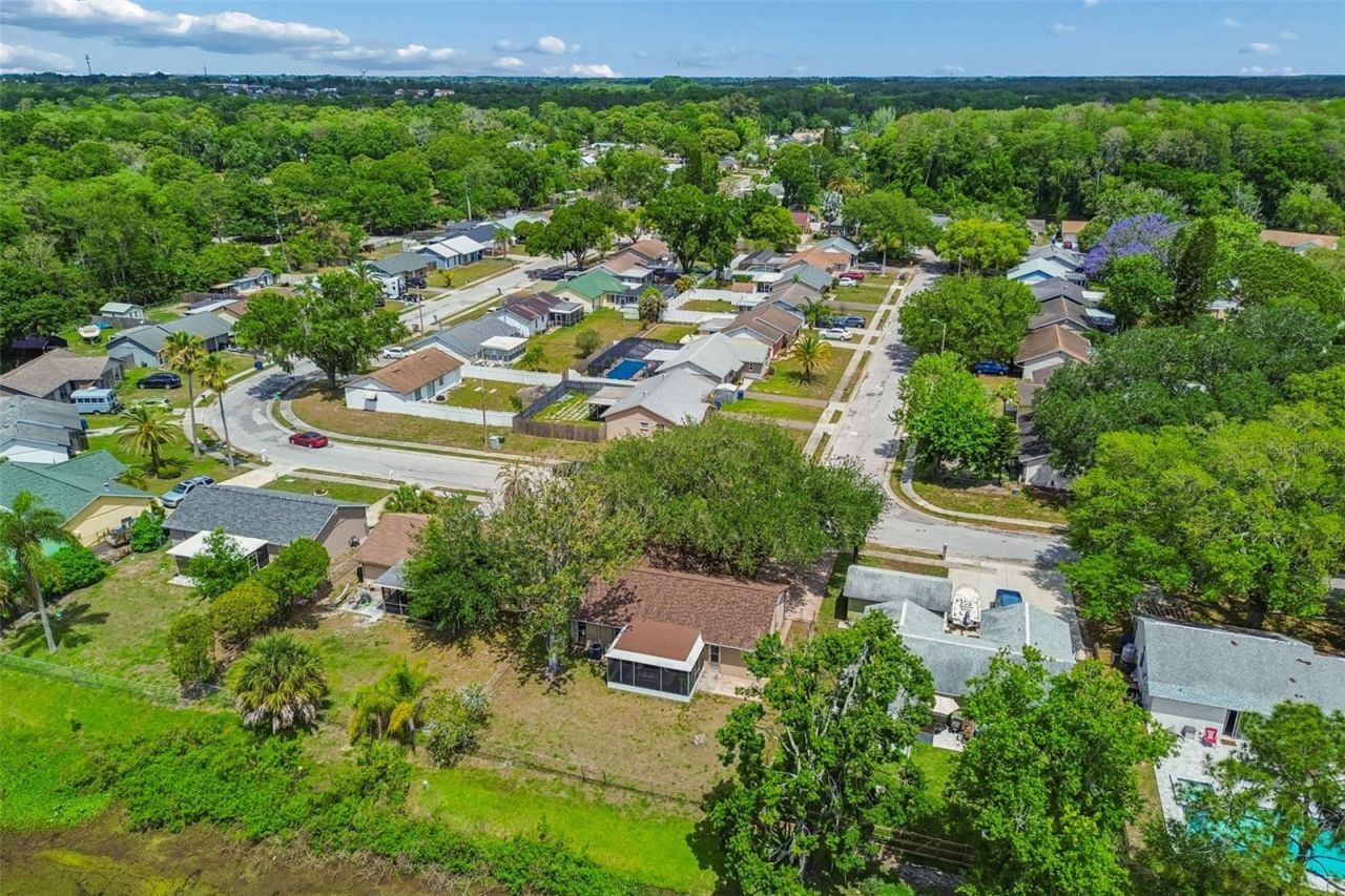 7038 Jenner Avenue, New Port Richey, FL 34655 Photo