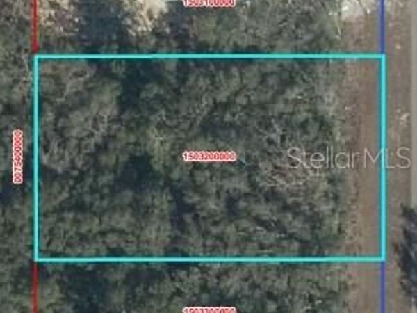 NW 100, CHIEFLAND, FL 32626