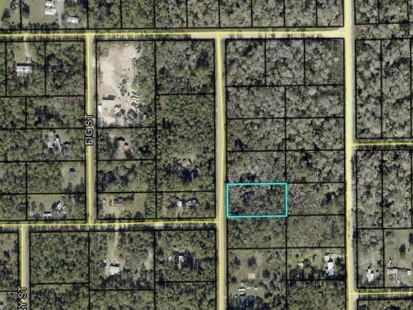 2157 GROVE STREET , BUNNELL, FL 32110