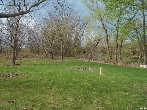 16172 E 100TH Street, Blandinsville, IL 61420