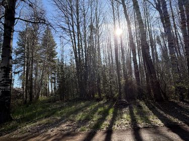 315625 Runnels Lane, Klamath Falls, OR 97601