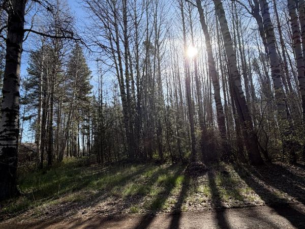 315625 Runnels Lane, Klamath Falls, OR 97601