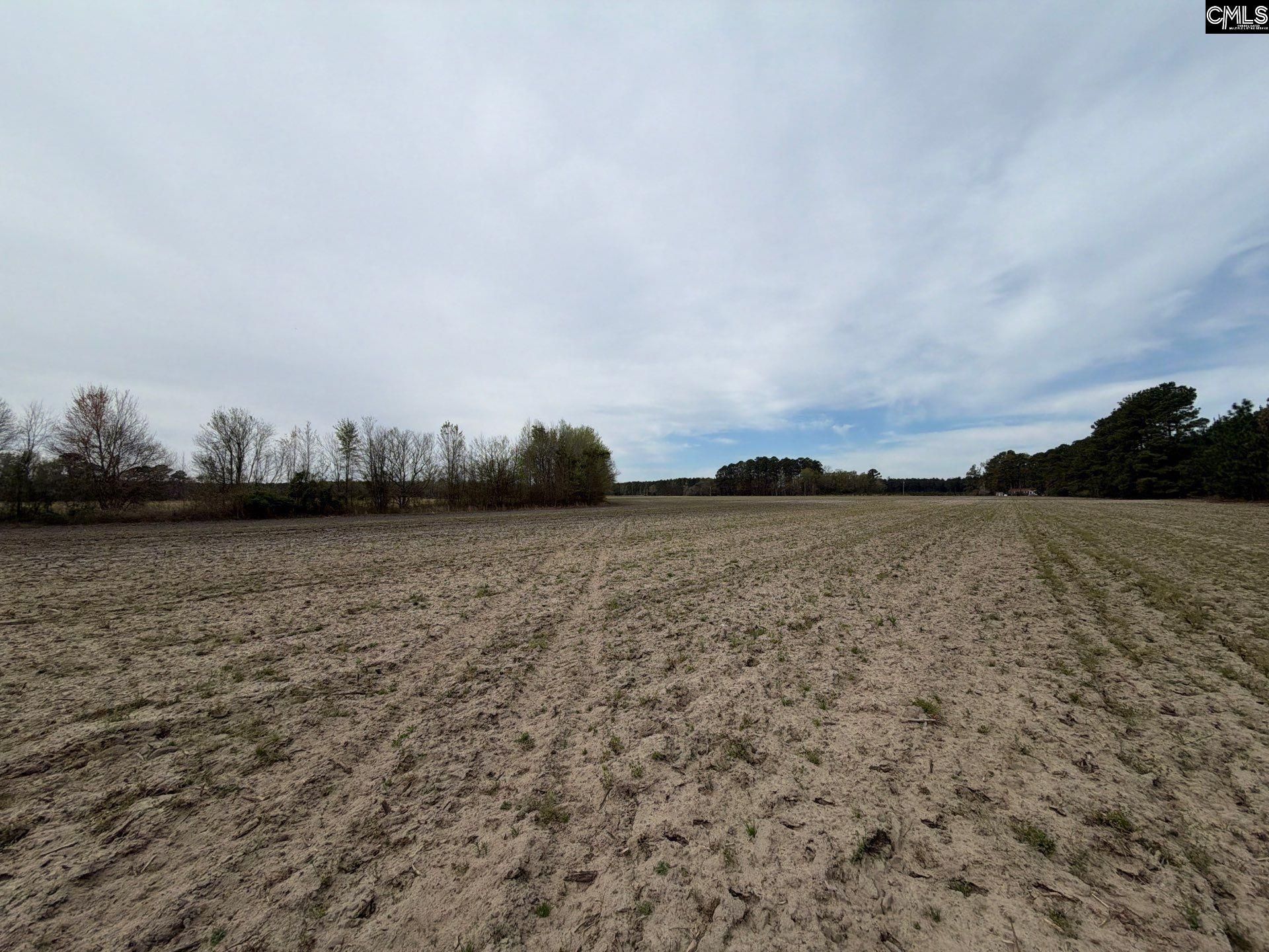 Mta 4 Heustess Road Photo 10