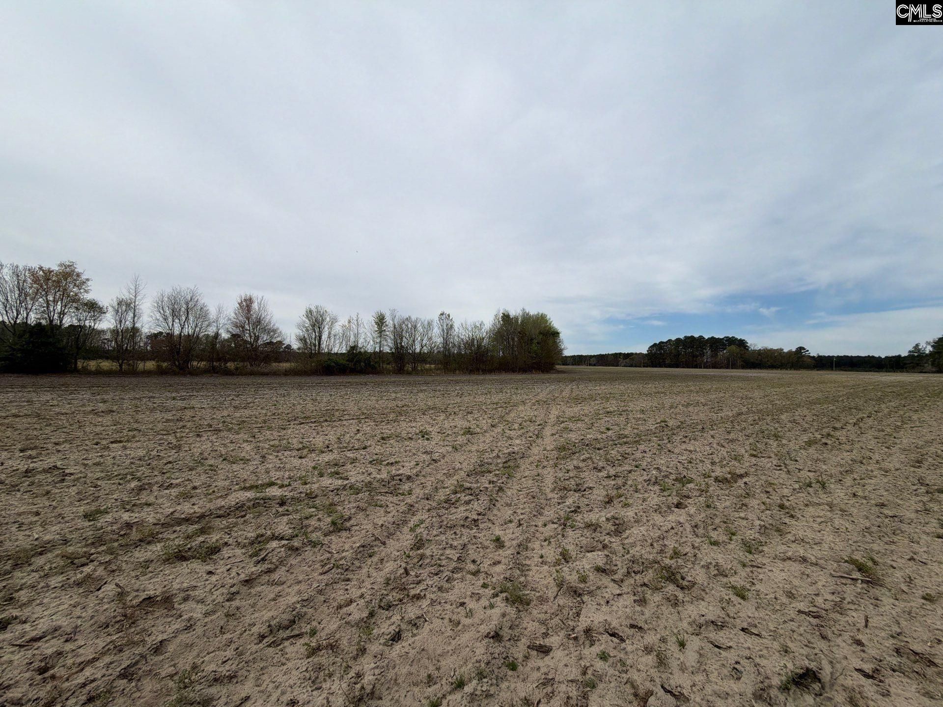 Mta 4 Heustess Road Photo 11