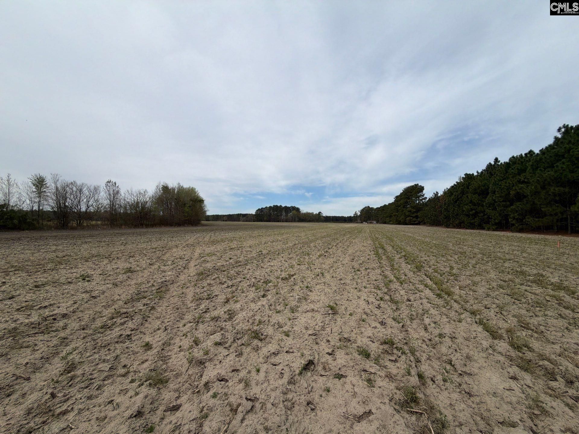 Mta 4 Heustess Road Photo 12