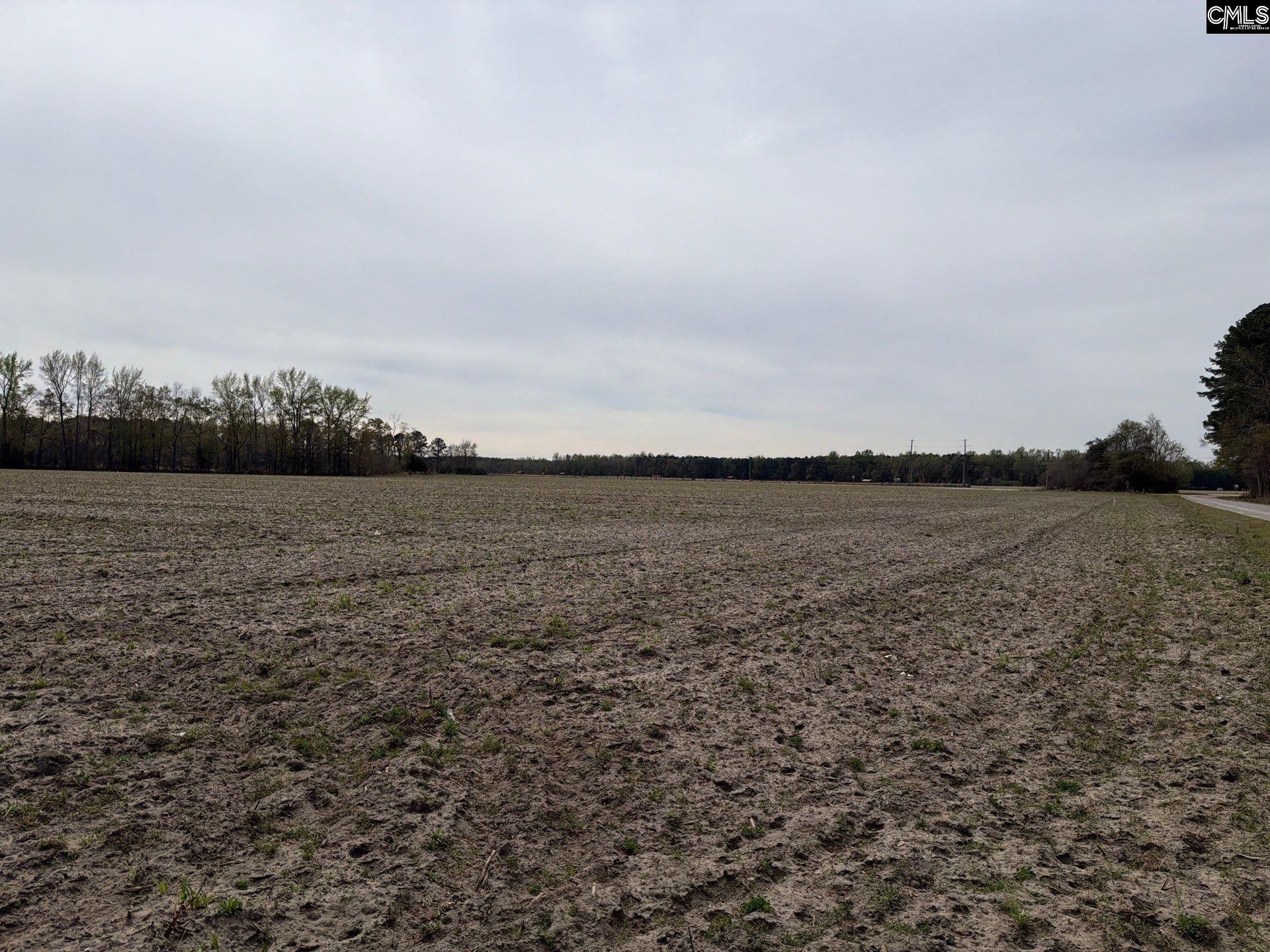 Mta 4 Heustess Road Photo 13