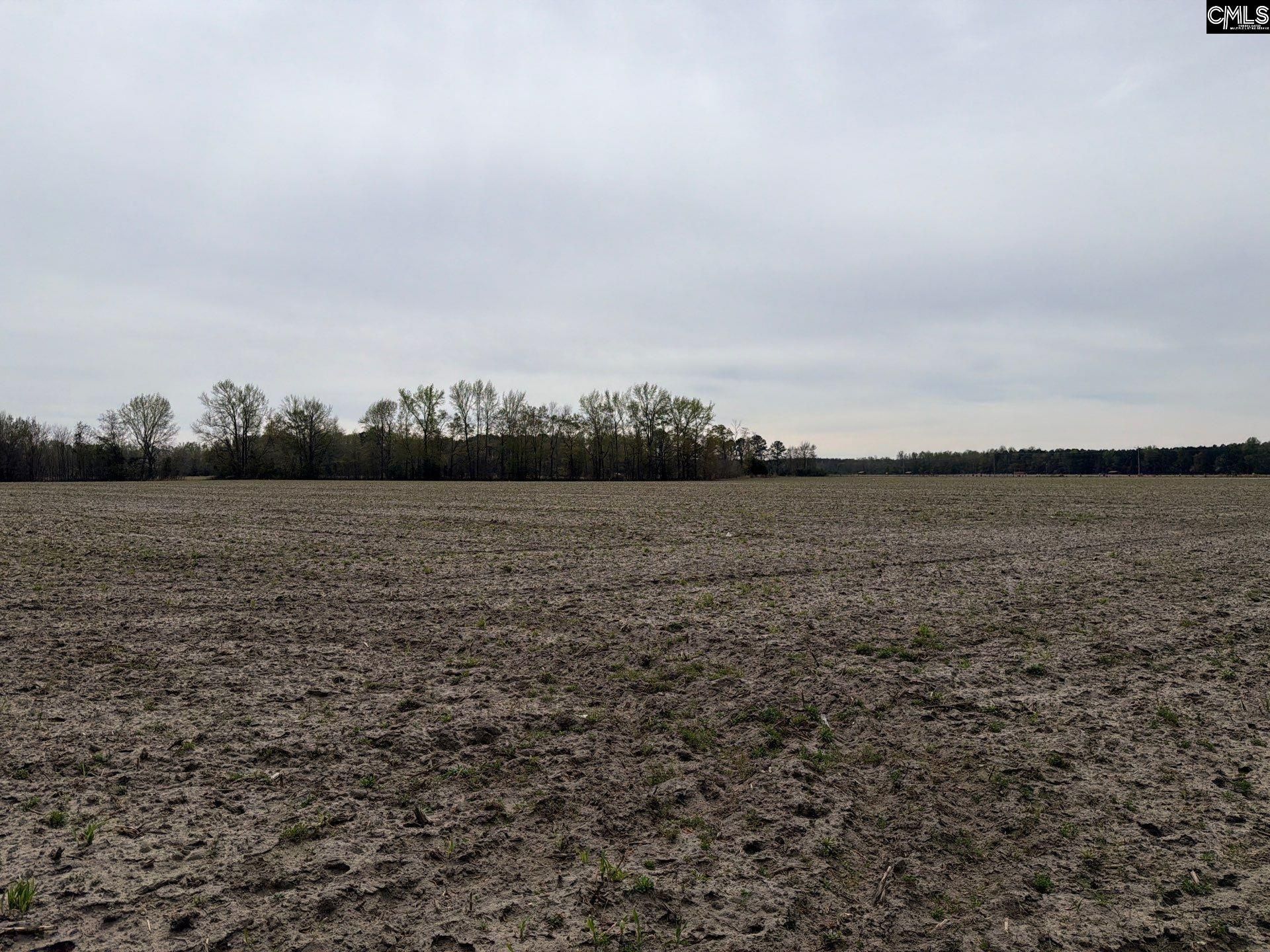 Mta 4 Heustess Road Photo 14