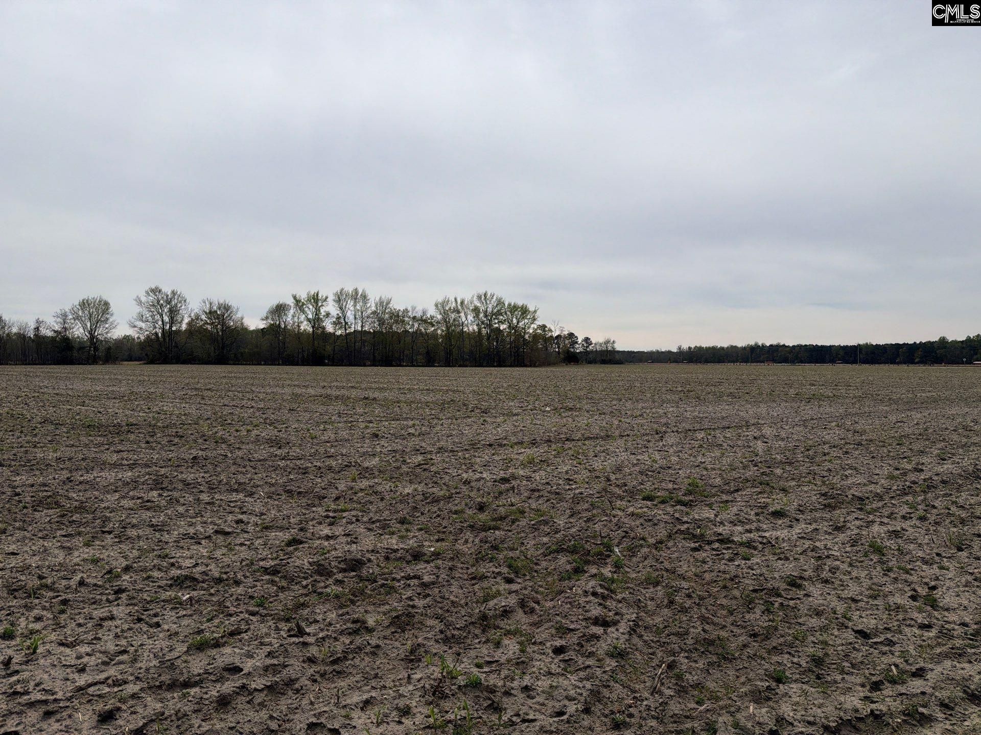 Mta 4 Heustess Road Photo 16