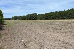 Mta 4 Heustess Road photo 4