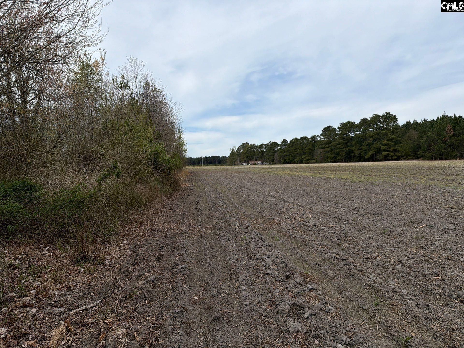 Mta 4 Heustess Road Photo 4