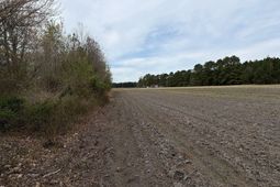 Mta 4 Heustess Road photo 4