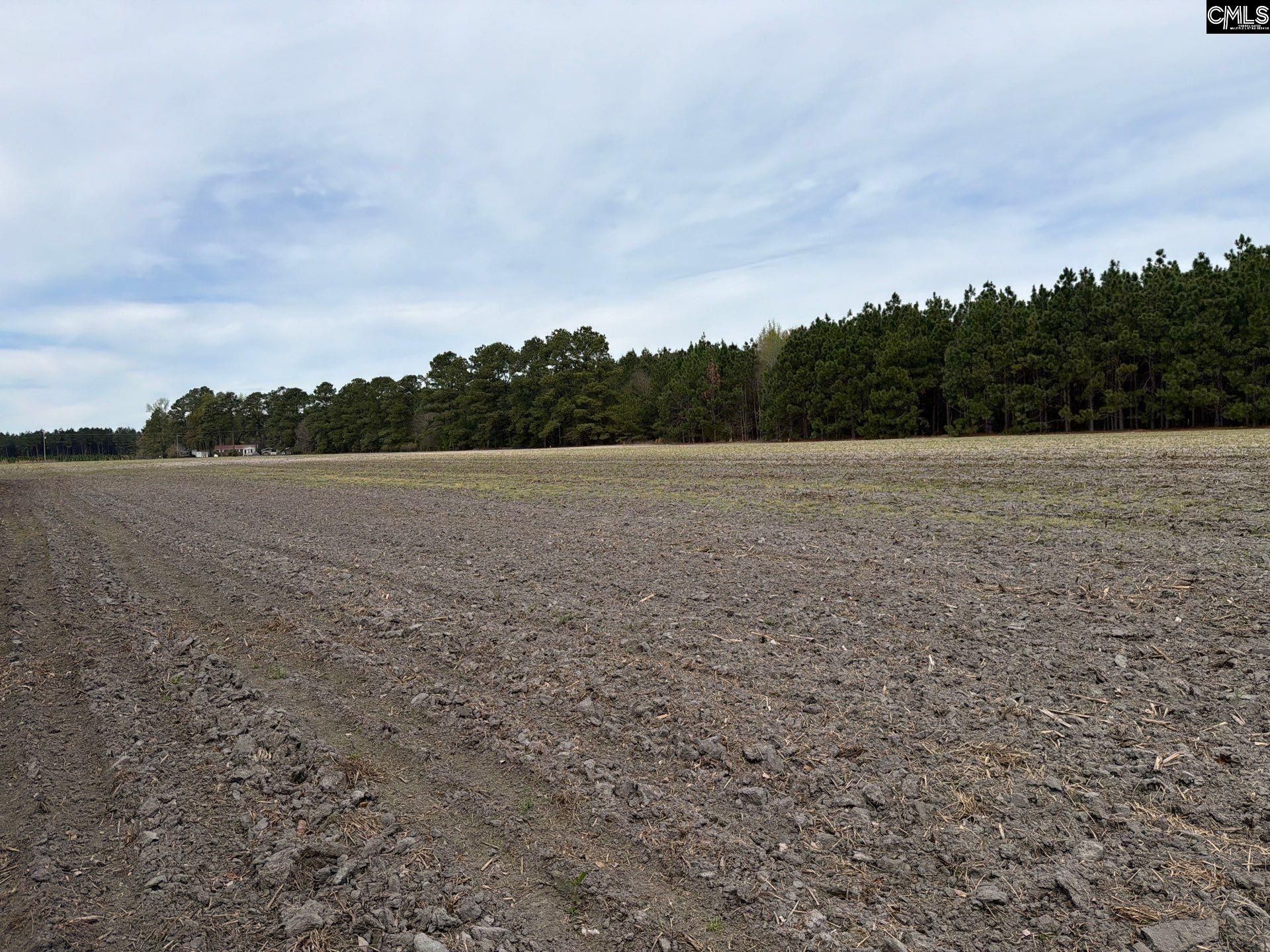 Mta 4 Heustess Road Photo 5