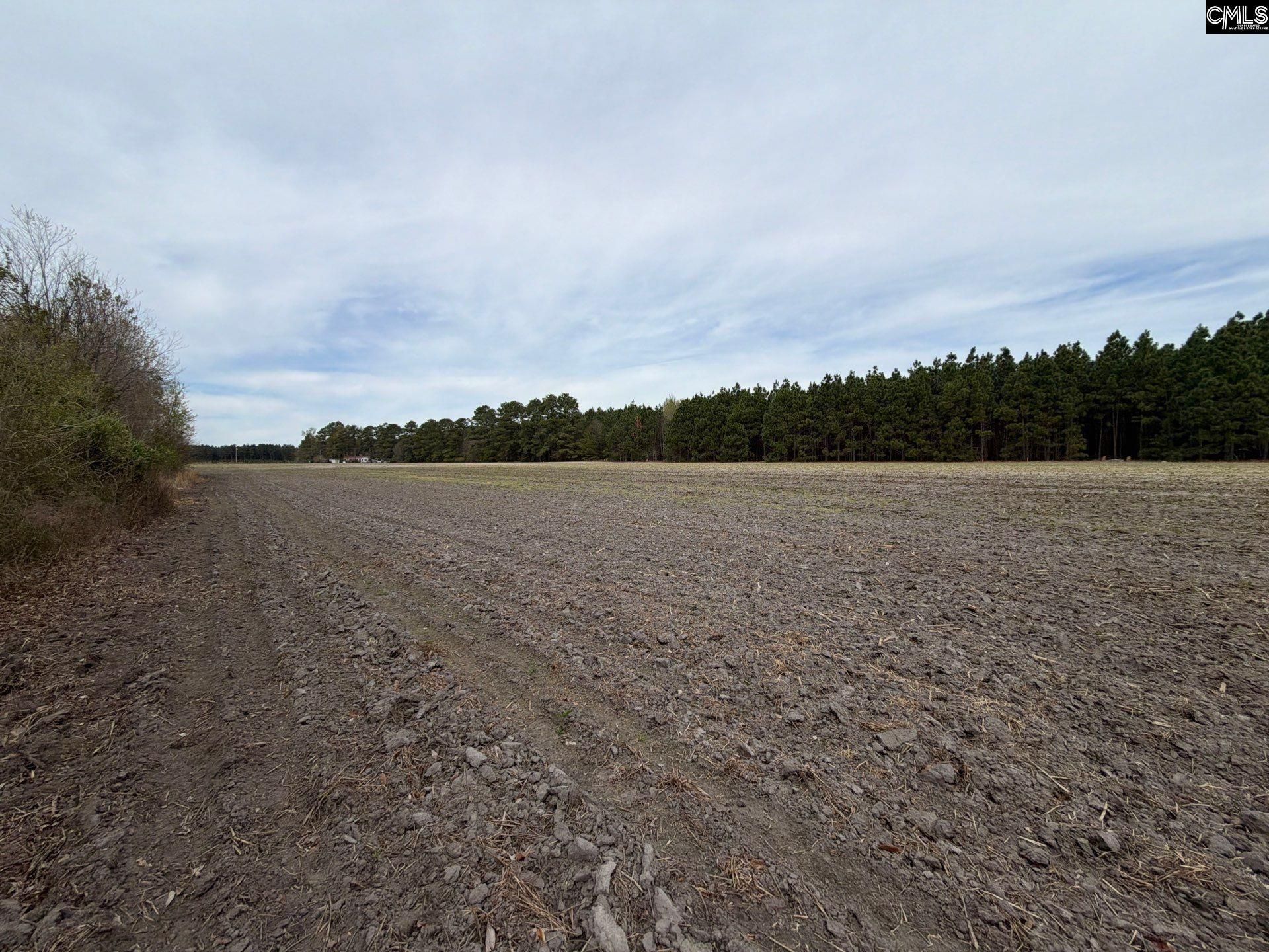 Mta 4 Heustess Road Photo 6