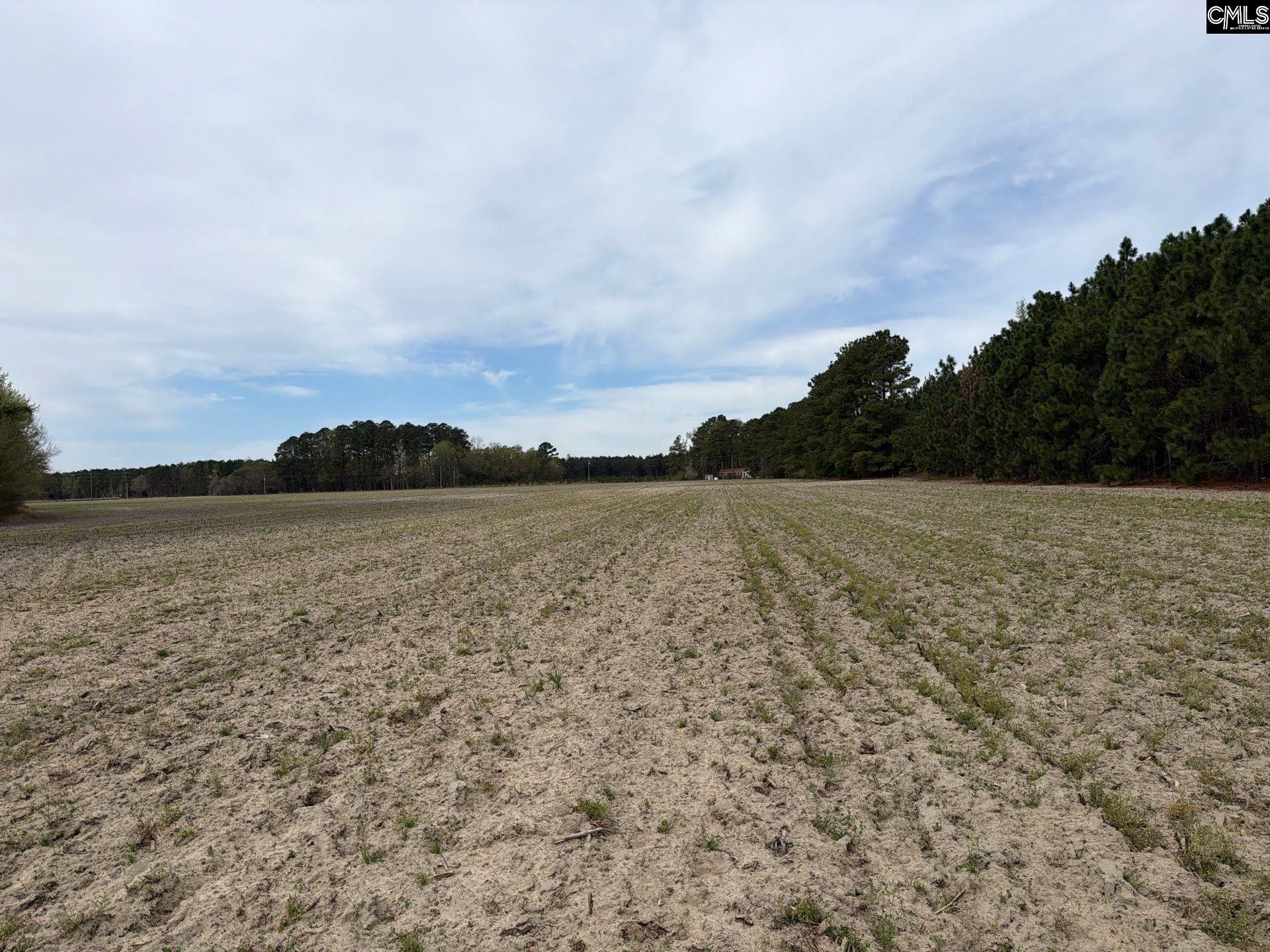 Mta 4 Heustess Road Photo 7