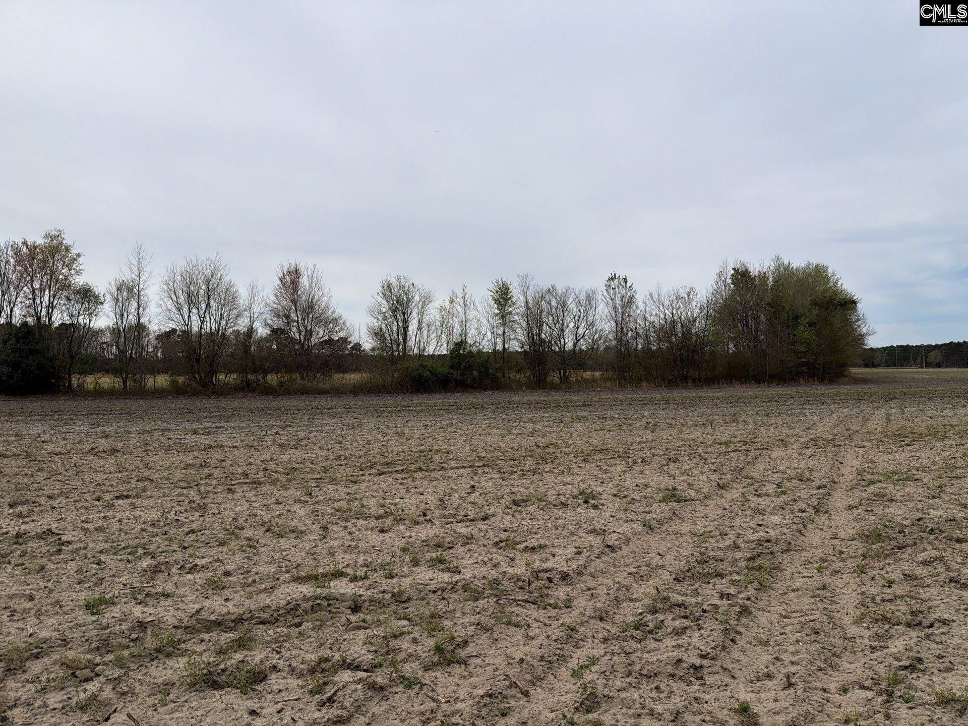 Mta 4 Heustess Road Photo 8