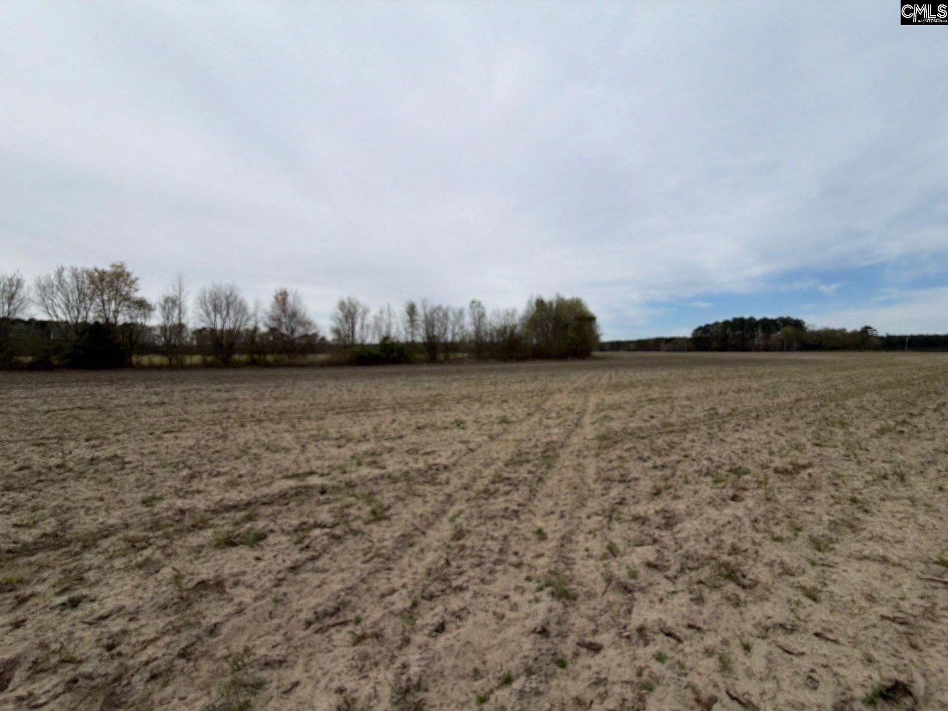 Mta 4 Heustess Road Photo 9