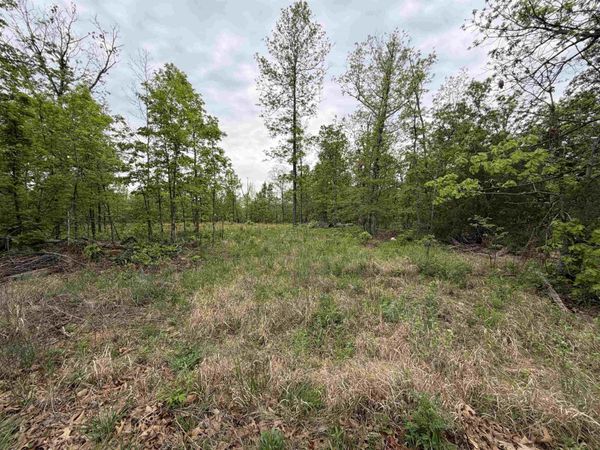 303 Mother Lode Drive , Horseshoe Bend, AR 72512