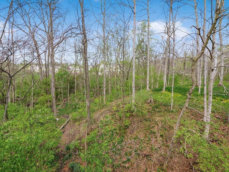 582 Westbury Woods Court, Westerville, OH 43081 Photo 42