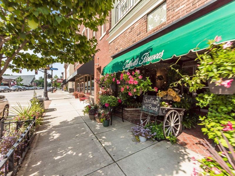 582 Westbury Woods Court, Westerville, OH 43081 Photo 48