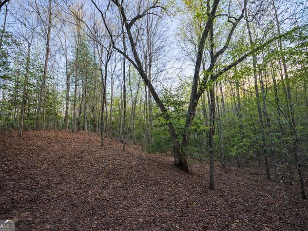 LOT 5 Riverbend Manor, Blue Ridge, GA 30513