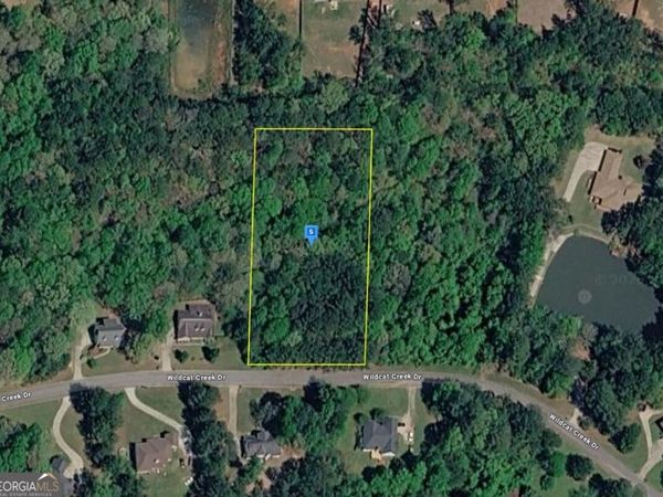 40 Wildcat Creek Drive, Covington, GA 30016