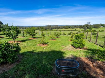 10165 Coyote Ridge Ct, Auburn, CA 95602 Photo