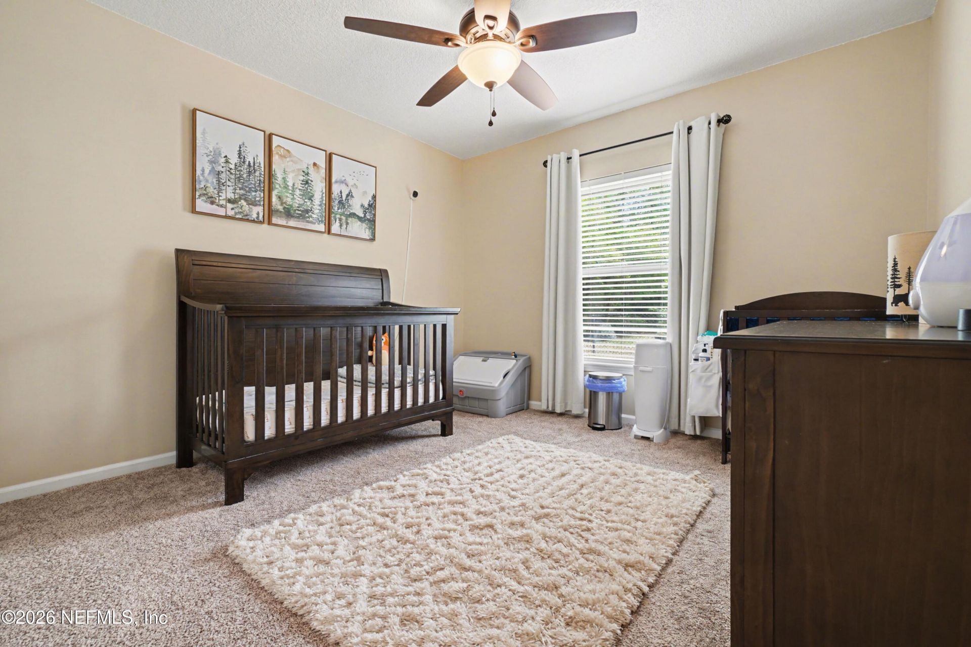 5663 Wolf Creek Drive, Jacksonville, FL 32222 Photo