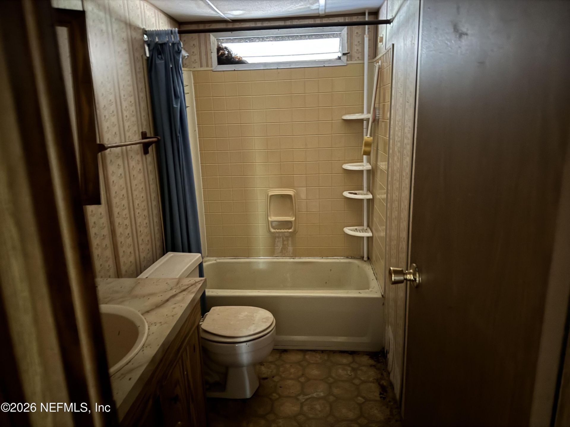 608 Coral Farms Road, Florahome, FL 32140 Photo