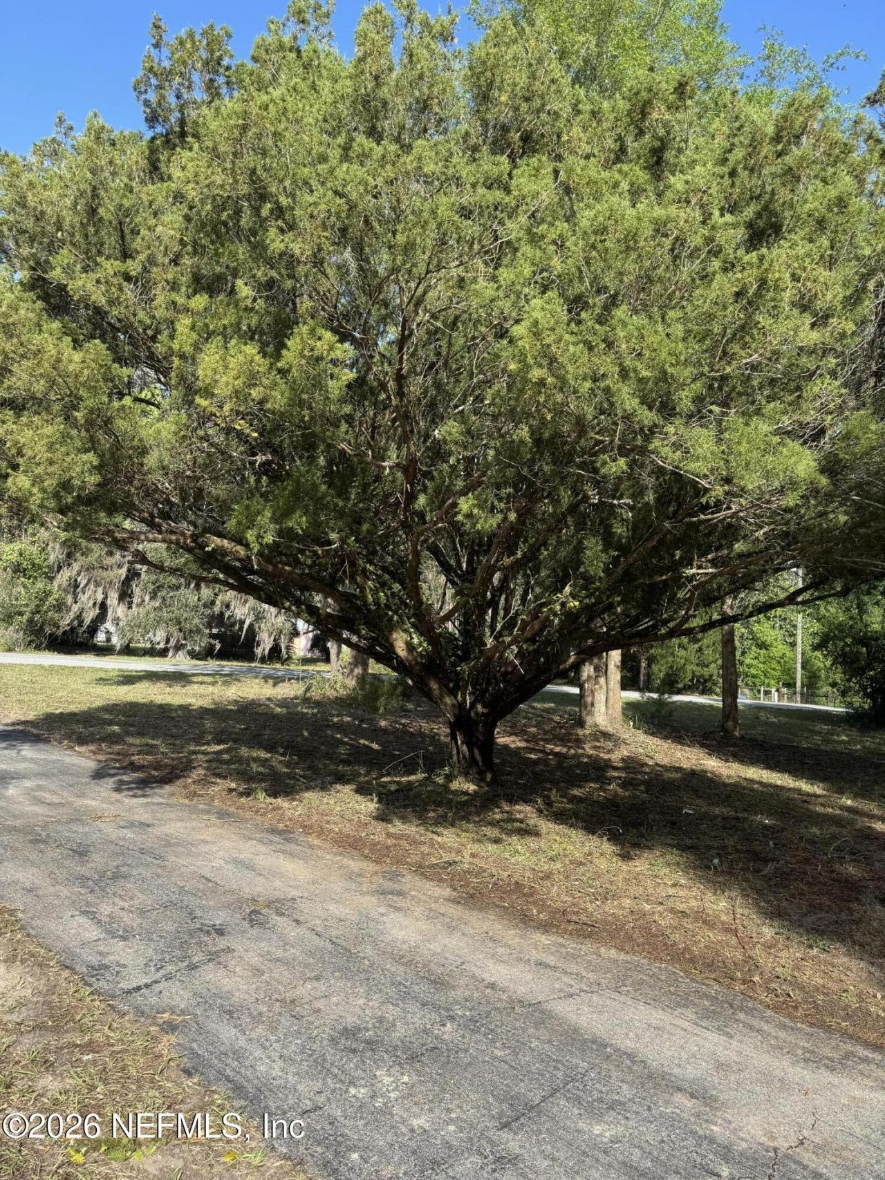 608 Coral Farms Road, Florahome, FL 32140 Photo