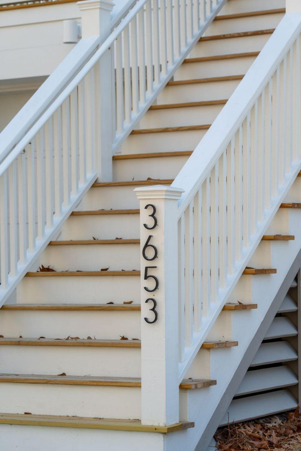 3653 Pandora Drive Photo 8