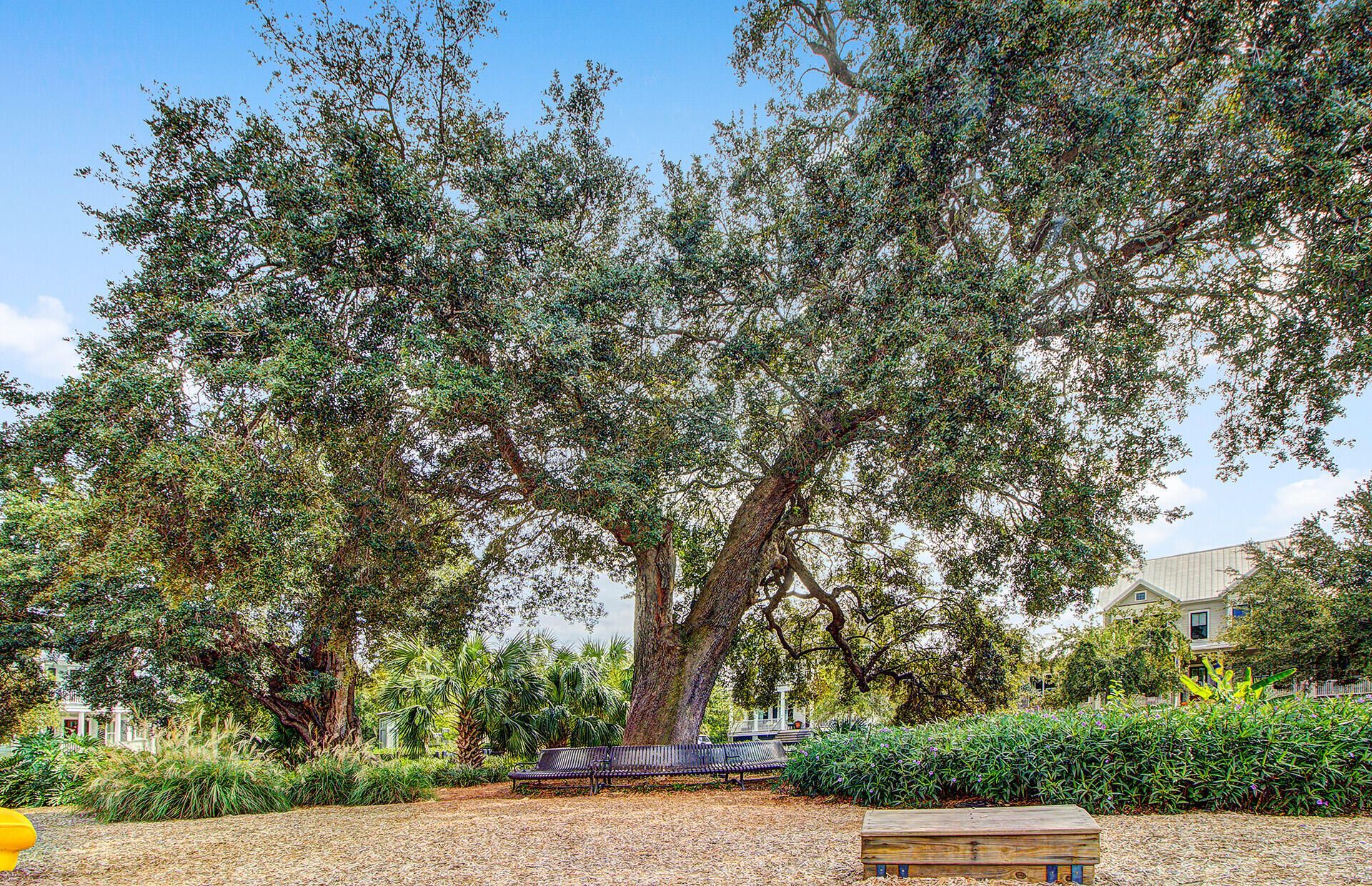 1709 Doldridge Street Photo 70