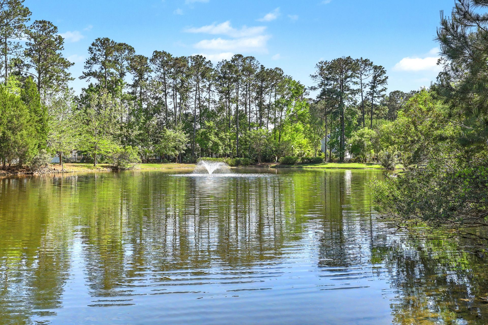 1728 Alan Brooke Drive Photo 49