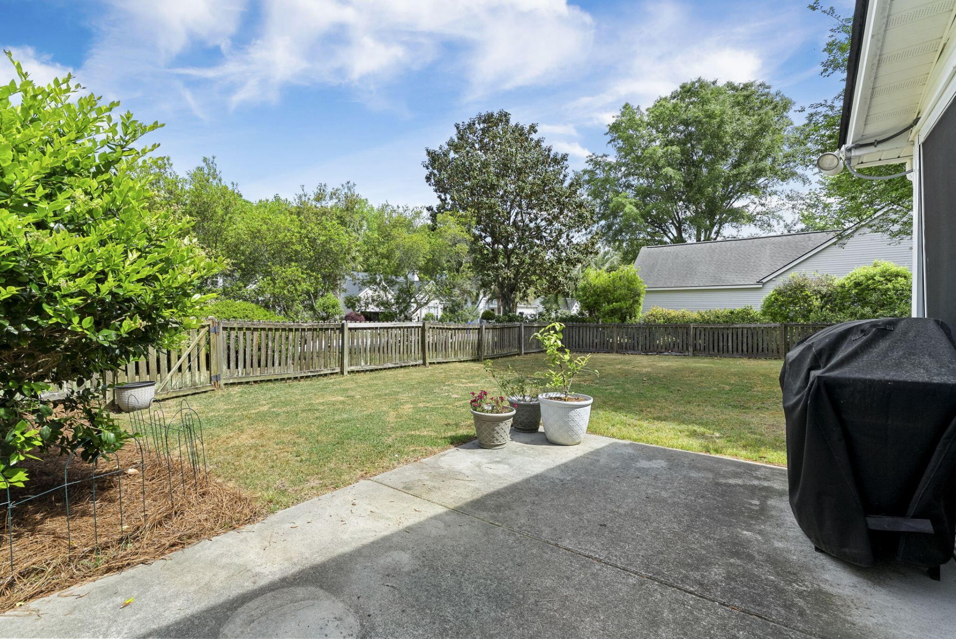 1401 Water Oak Cut Photo 31