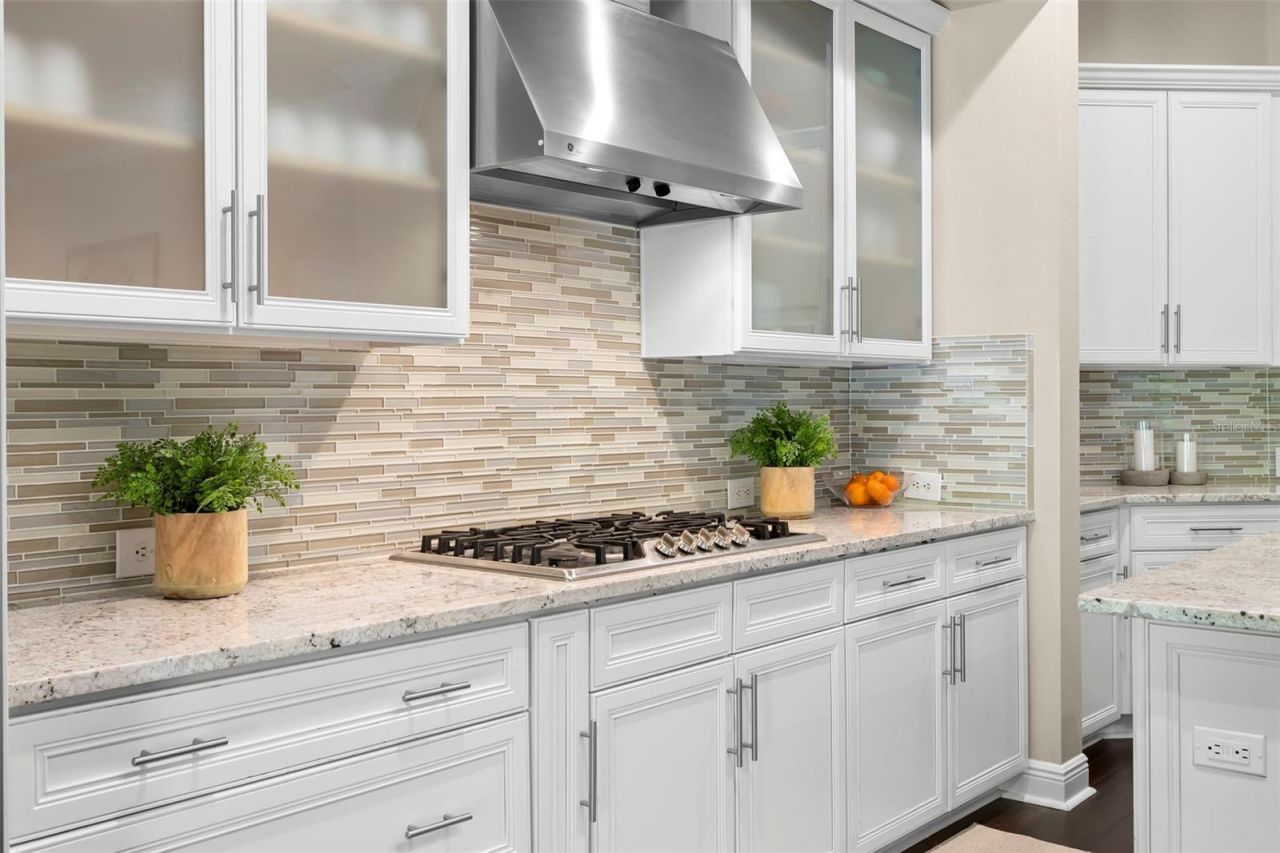 12003 San Chaliford Court, Tampa, FL 33626 Photo