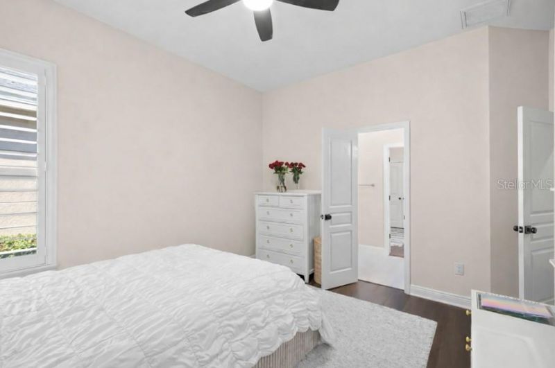 12003 San Chaliford Court, Tampa, FL 33626 Photo