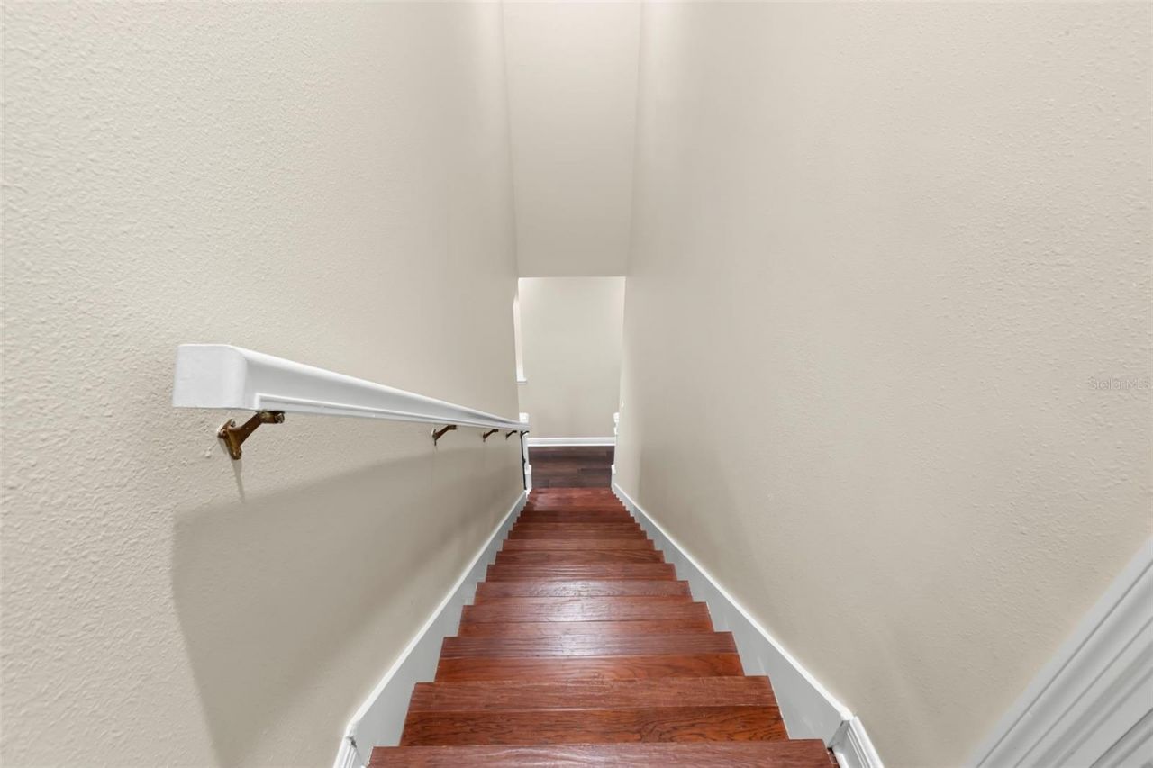 12003 San Chaliford Court, Tampa, FL 33626 Photo