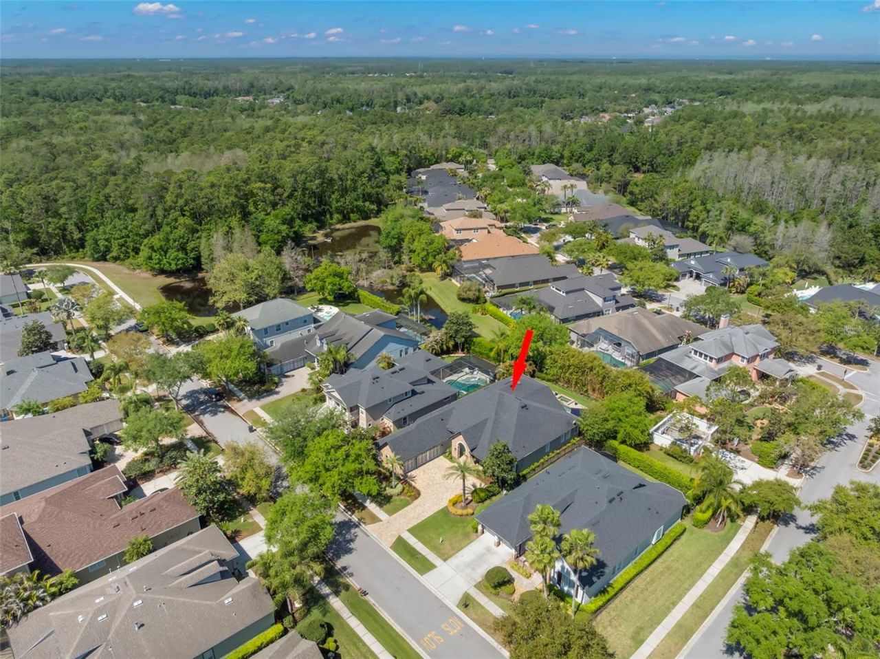 12003 San Chaliford Court, Tampa, FL 33626 Photo