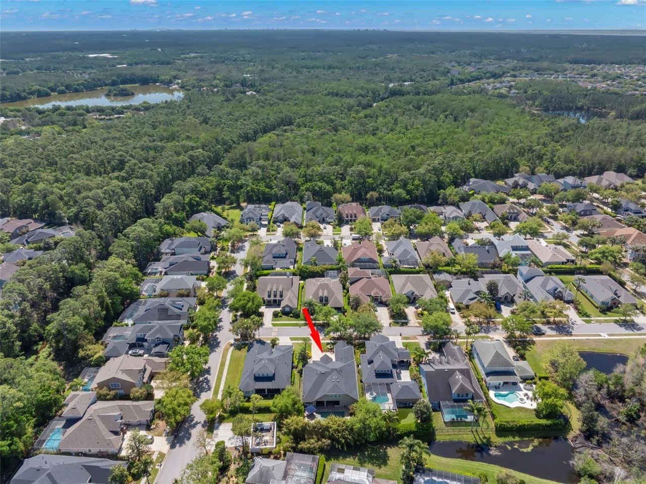 12003 San Chaliford Court, Tampa, FL 33626 Photo