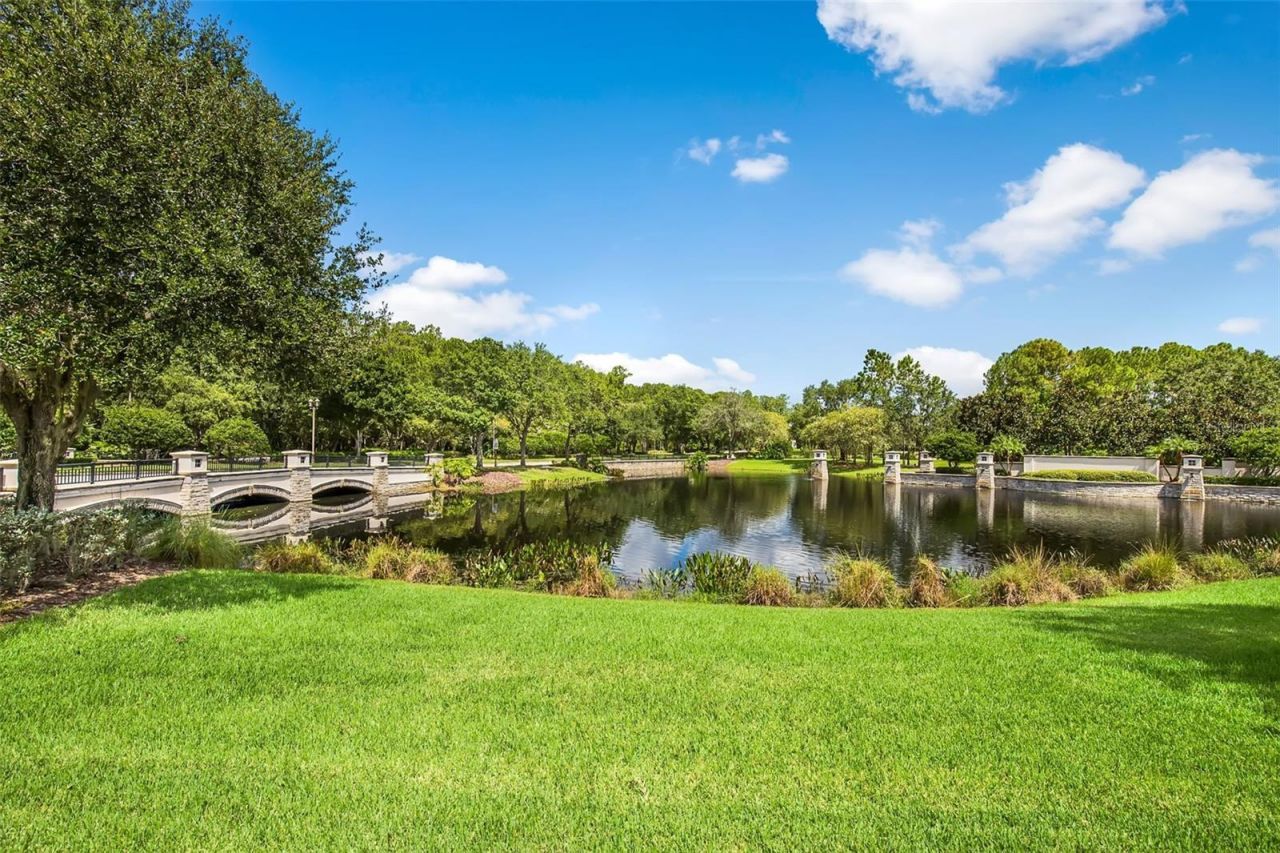 12003 San Chaliford Court, Tampa, FL 33626 Photo