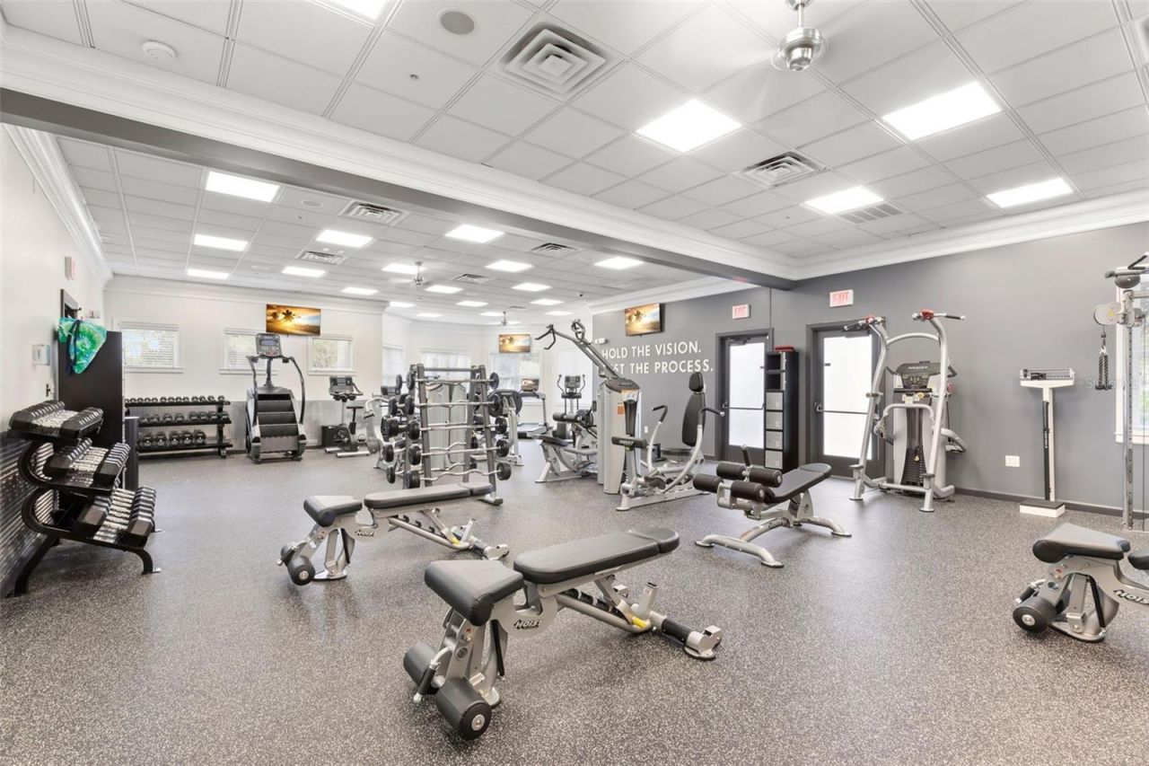 12003 San Chaliford Court, Tampa, FL 33626 Photo