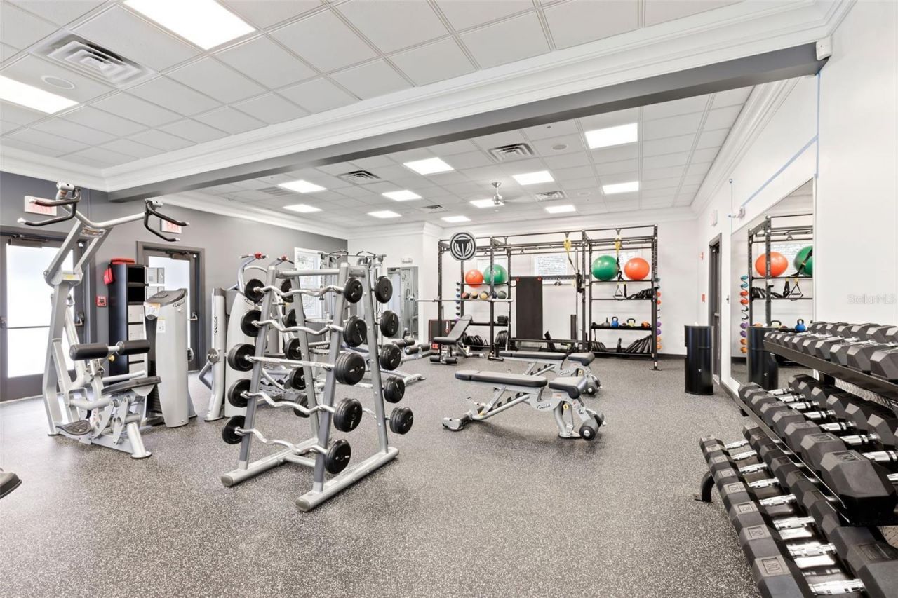 12003 San Chaliford Court, Tampa, FL 33626 Photo