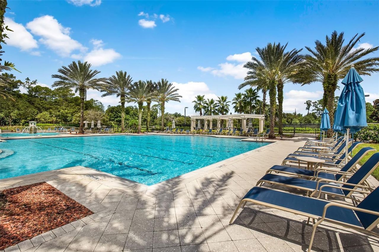 12003 San Chaliford Court, Tampa, FL 33626 Photo