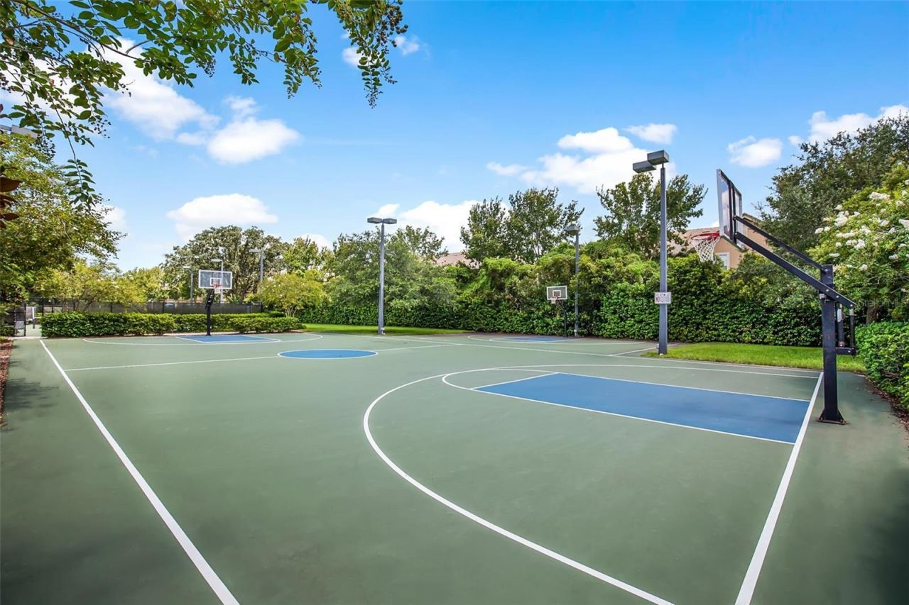 12003 San Chaliford Court, Tampa, FL 33626 Photo