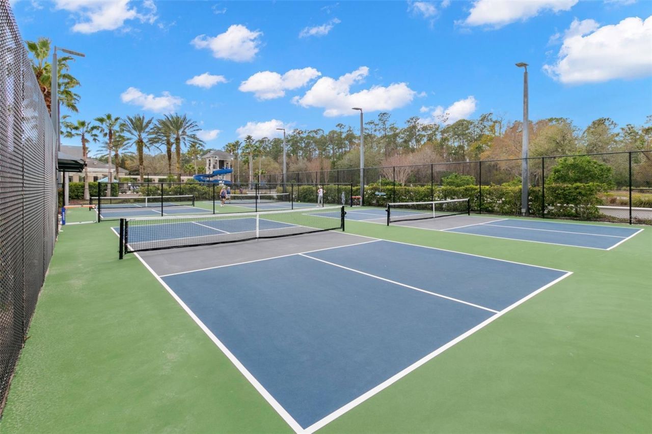 12003 San Chaliford Court, Tampa, FL 33626 Photo