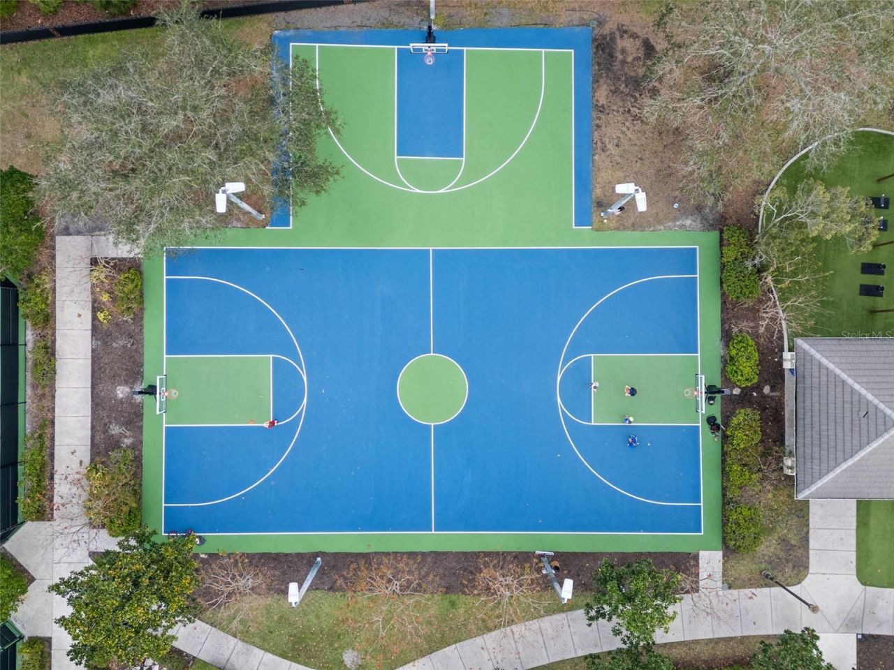 12003 San Chaliford Court, Tampa, FL 33626 Photo